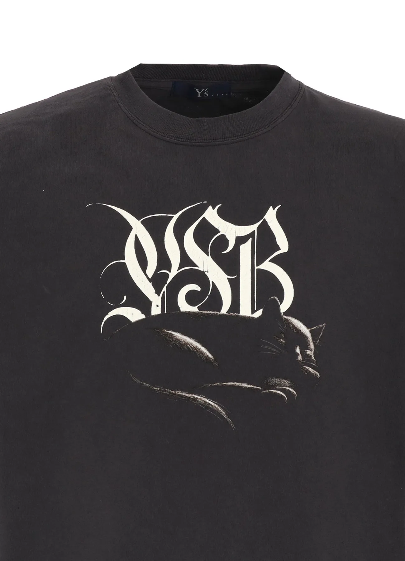 CAT PRINT T SHIRT B